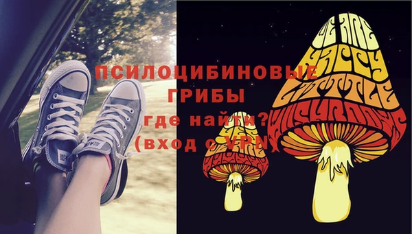 гидра Грязовец