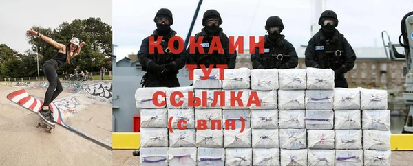 гидра Грязовец
