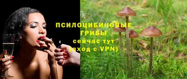 ГАЛЛЮЦИНОГЕННЫЕ ГРИБЫ Остров