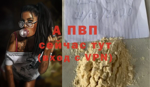 гидра Пестово