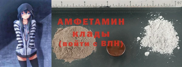 гидра Грязовец